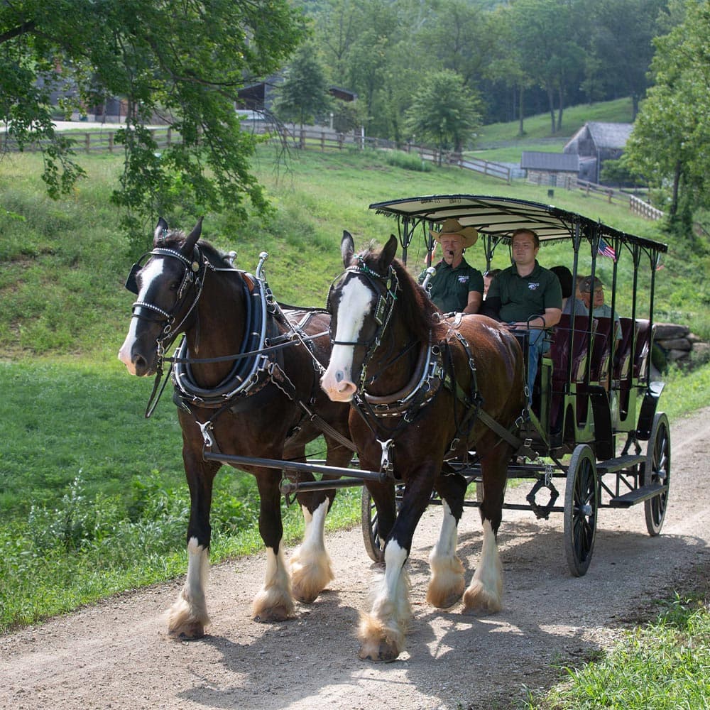 Two horses pull a carriage along a dirt path with passengers inside, surrounded by greenery.