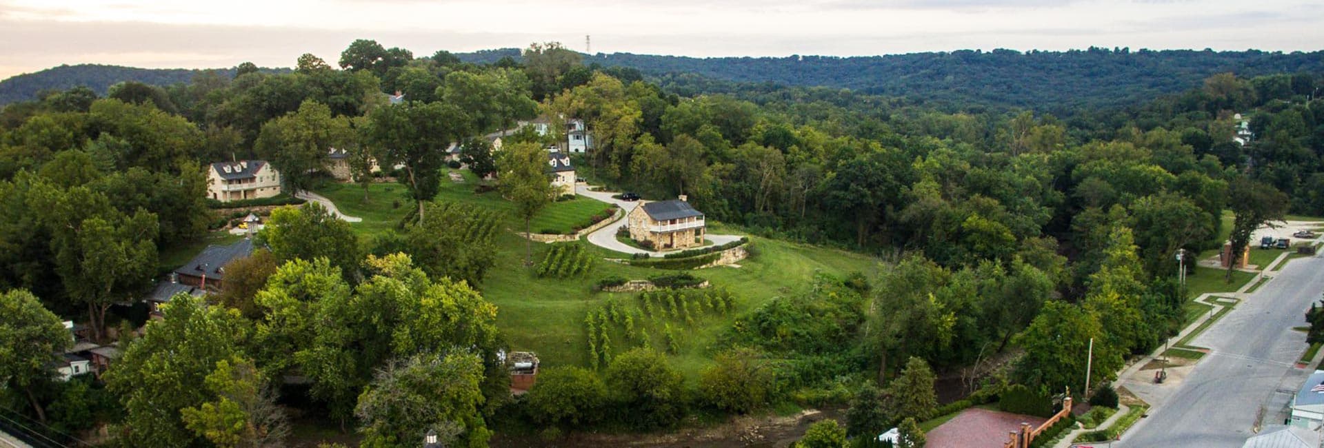 Aerial view of a lush, green landscape featuring houses, vineyards, and rolling hills.