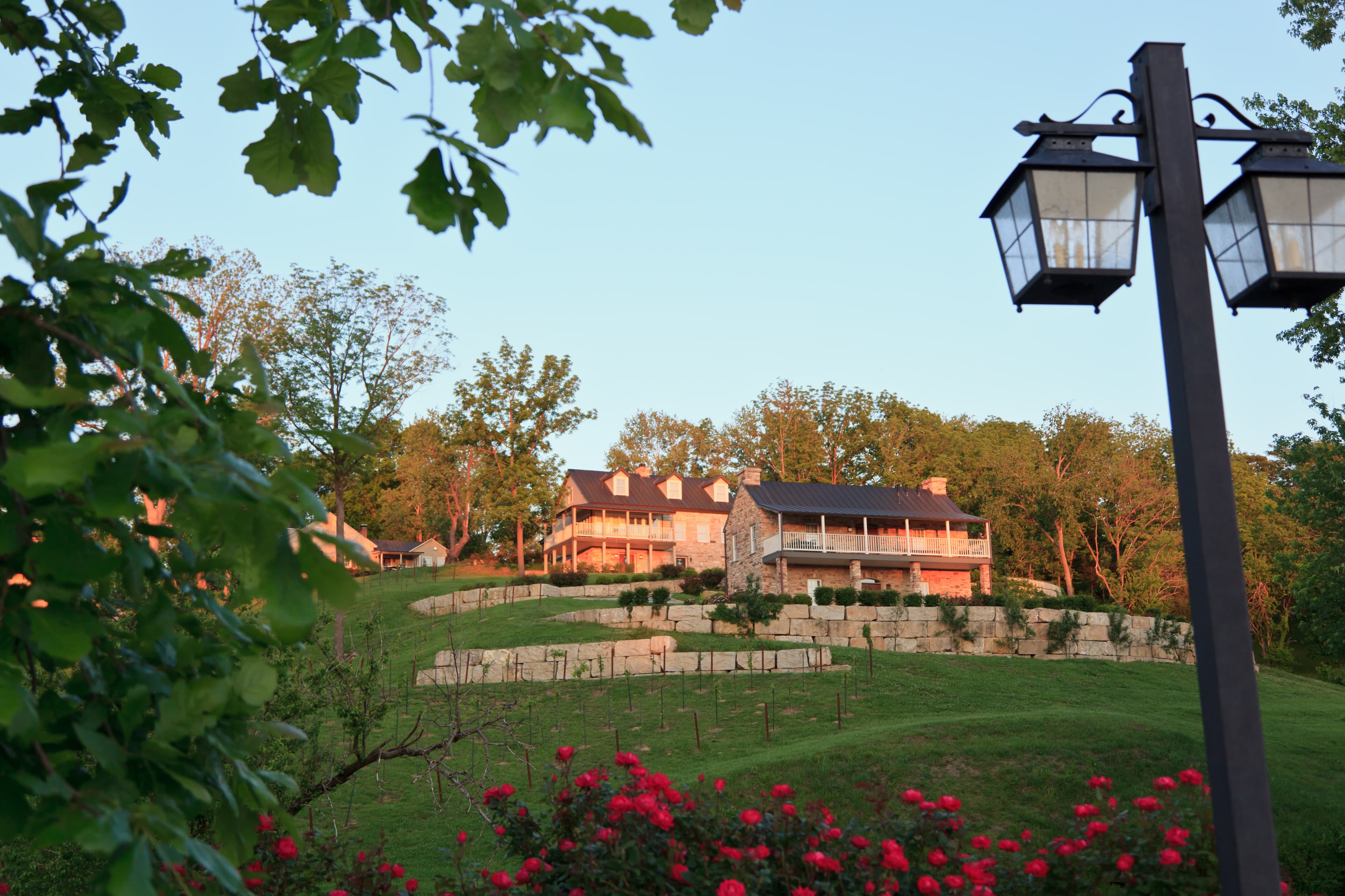 A hillside home surrounded by trees and rose bushes, with a decorative lamp in the foreground.