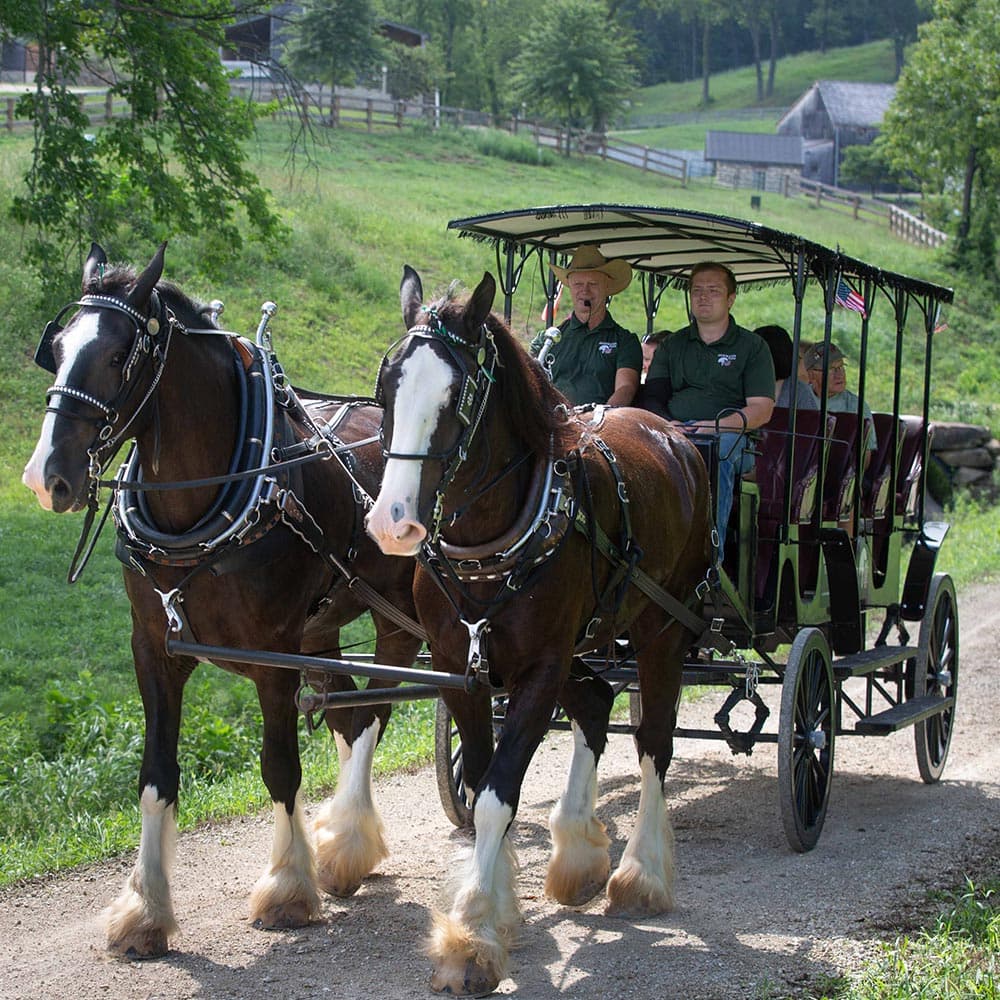 A horse-drawn carriage carries four passengers down a dirt path in a green landscape.